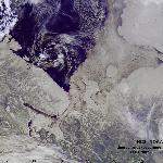 Лед в Баренцевом и Белом морях